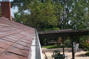 Landscaping Rain Gutter Cleaning Leaves - Landscaping