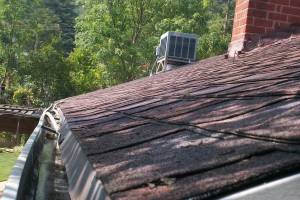 Landscaping Rain Gutter Cleaning Leaves - Landscaping
