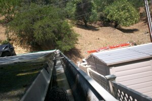 Landscaping Rain Gutter Cleaning Leaves - Landscaping