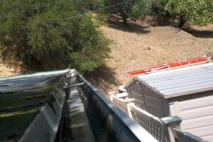 Landscaping Rain Gutter Cleaning Leaves - Landscaping