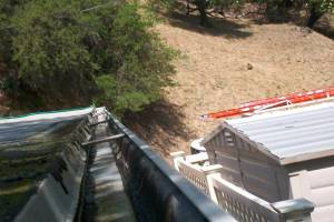 Landscaping Rain Gutter Cleaning Leaves - Landscaping