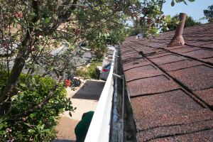 Landscaping Rain Gutter Cleaning Leaves - Landscaping