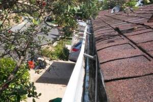 Landscaping Rain Gutter Cleaning Leaves - Landscaping