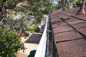 Landscaping Rain Gutter Cleaning Leaves - Landscaping