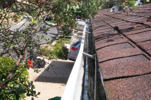 Landscaping Rain Gutter Cleaning Leaves - Landscaping