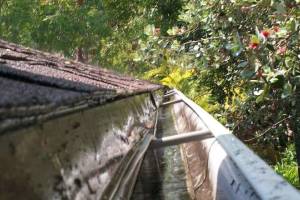 Landscaping Rain Gutter Cleaning Leaves - Landscaping