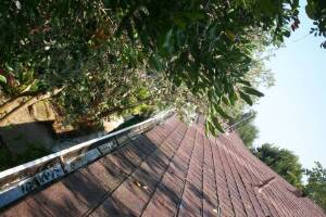 Landscaping Rain Gutter Cleaning Leaves - Landscaping