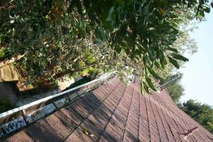 Landscaping Rain Gutter Cleaning Leaves - Landscaping