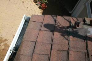 Landscaping Rain Gutter Cleaning Leaves - Landscaping