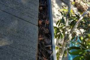 Landscaping Rain Gutter Debris Cleaning - Landscaping
