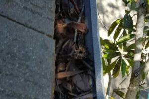 Landscaping Rain Gutter Debris Cleaning - Landscaping