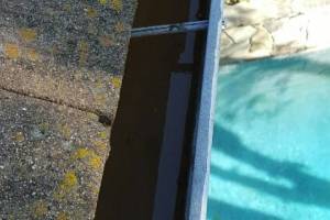 Landscaping Rain Gutter Debris Cleaning - Landscaping