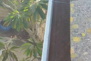 Landscaping Rain Gutter Debris Cleaning - Landscaping