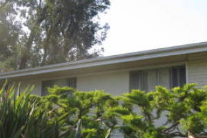 Landscaping Rain Gutter Leaves Debris Cleaning - Landscaping