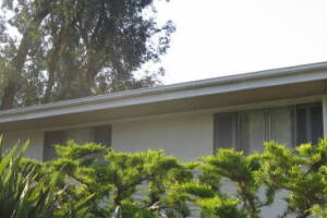 Landscaping Rain Gutter Leaves Debris Cleaning - Landscaping