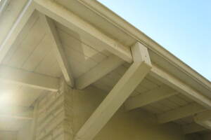 Landscaping Rain Gutter Leaves Debris Cleaning - Landscaping