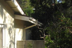 Landscaping Rain Gutter Leaves Debris Cleaning - Landscaping