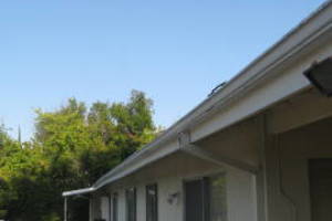 Landscaping Rain Gutter Leaves Debris Cleaning - Landscaping