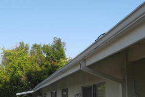 Landscaping Rain Gutter Leaves Debris Cleaning - Landscaping