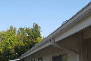 Landscaping Rain Gutter Leaves Debris Cleaning - Landscaping