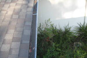 Landscaping Rain Gutter Leaves Debris Cleaning - Landscaping