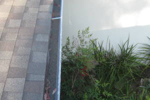 Landscaping Rain Gutter Leaves Debris Cleaning - Landscaping