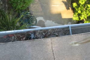Landscaping Rain Gutter Leaves Debris Cleaning - Landscaping