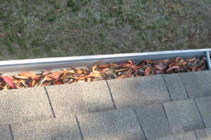 Landscaping Rain Gutter Leaves Debris Cleaning - Landscaping