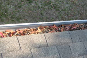 Landscaping Rain Gutter Leaves Debris Cleaning - Landscaping