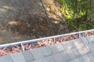 Landscaping Rain Gutter Leaves Debris Cleaning - Landscaping