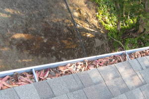 Landscaping Rain Gutter Leaves Debris Cleaning - Landscaping