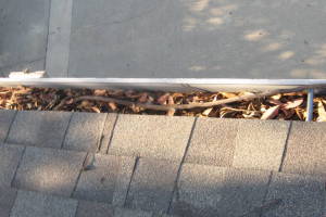 Landscaping Rain Gutter Leaves Debris Cleaning - Landscaping