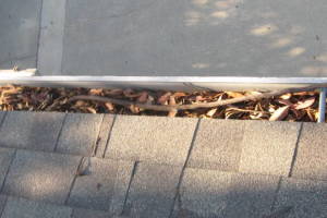 Landscaping Rain Gutter Leaves Debris Cleaning - Landscaping
