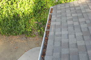 Landscaping Rain Gutter Leaves Debris Cleaning - Landscaping