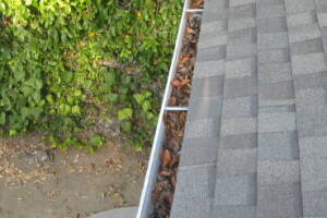 Landscaping Rain Gutter Leaves Debris Cleaning - Landscaping