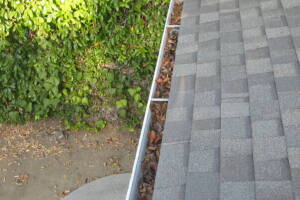 Landscaping Rain Gutter Leaves Debris Cleaning - Landscaping