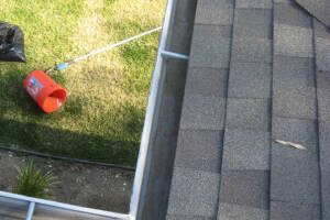 Landscaping Rain Gutter Leaves Debris Cleaning - Landscaping