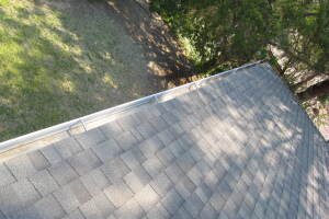 Landscaping Rain Gutter Leaves Debris Cleaning - Landscaping