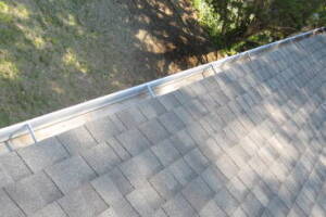 Landscaping Rain Gutter Leaves Debris Cleaning - Landscaping