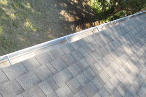 Landscaping Rain Gutter Leaves Debris Cleaning - Landscaping