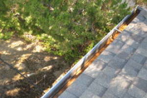 Landscaping Rain Gutter Leaves Debris Cleaning - Landscaping