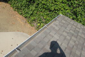 Landscaping Rain Gutter Leaves Debris Cleaning - Landscaping