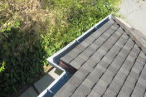 Landscaping Rain Gutter Leaves Debris Cleaning - Landscaping