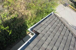 Landscaping Rain Gutter Leaves Debris Cleaning - Landscaping