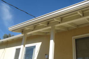 Landscaping Rain Gutter Tree Debris Cleaning - Landscaping