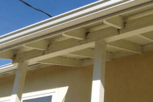 Landscaping Rain Gutter Tree Debris Cleaning - Landscaping