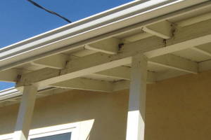 Landscaping Rain Gutter Tree Debris Cleaning - Landscaping