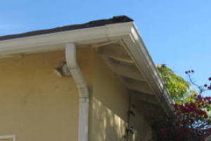 Landscaping Rain Gutter Tree Debris Cleaning - Landscaping
