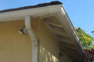Landscaping Rain Gutter Tree Debris Cleaning - Landscaping
