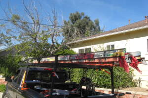 Landscaping Rain Gutter Tree Debris Cleaning - Landscaping